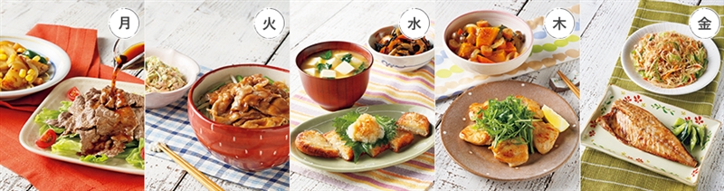 ���V�P�C ����