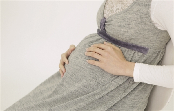 ���V�P�C�͔D�w�ɂ������߁H�������߂łȂ��H